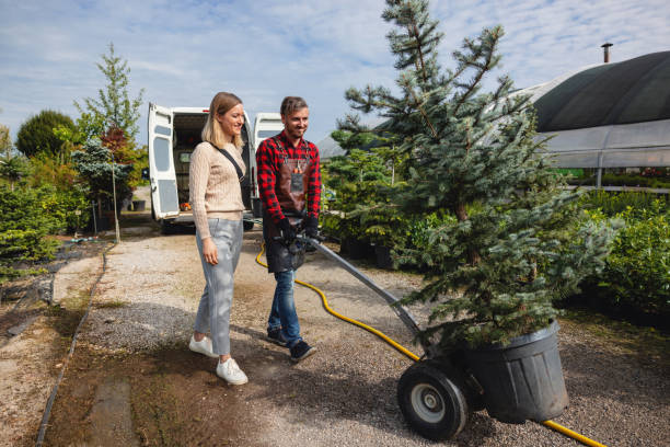 Best Weed Control  in Johnston, IA